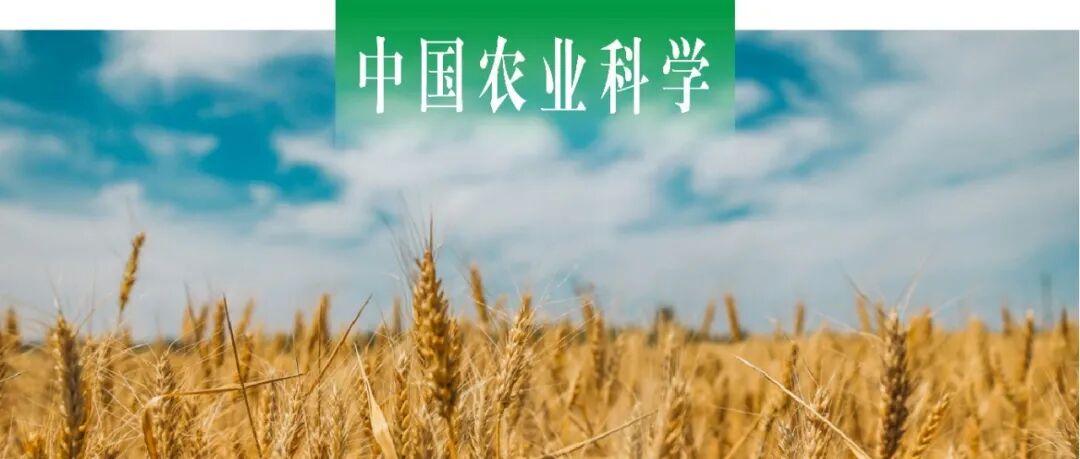 中国农业科学｜西北农林科技大学刘金山课题组探讨我国不同麦区土施硒肥的小麦富硒效应