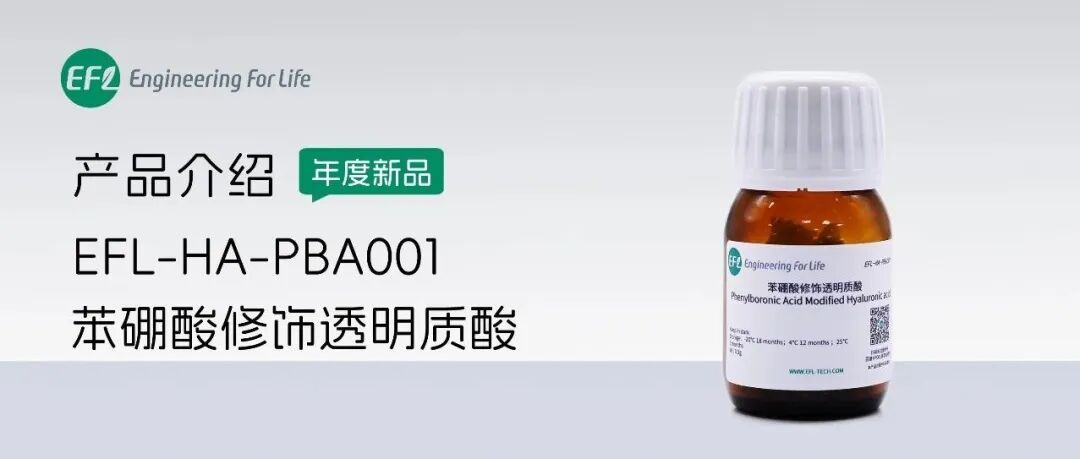 智能响应水凝胶重磅来袭：ROS/pH/ 糖三重响应型苯硼酸修饰透明质酸（EFL-HA-PBA001）