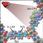 JACS: 混合长度多元共价有机框架实现近红外光动力治疗与药物递送协同疗法