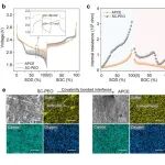 中国科学院金属研究所李峰、孙振华、于彤AM：一体化电极-电解质材料，电位调控聚合物整合助力可逆离子传输与存储