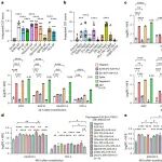 Nat Biomed Eng | 基于模块化疫苗平台的脂质纳米粒mRNA免疫原性优化研究