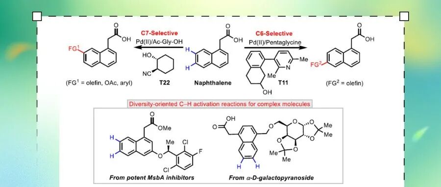 【JACS】余金权团队：萘骨架上C6-和C7-位选择性官能团化反应