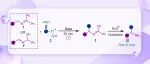 【Org. Lett.】南京林业大学赵斌林：基于极性反转合成策略超电子供体激活的苄胺 α-烷基化反应