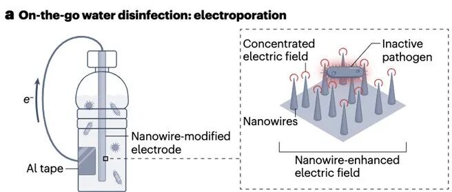 中国人民大学、韩国延世大学Nature Reviews Clean Technology：绿色消毒领域发表重要评述文章