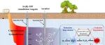 吉林大学秦传玉团队WR：一种基于曝气耦合分子氧活化的原位地下水可持续修复新技术——机理与可行性评估