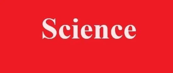 南开大学团队最新成果，登上《Science》！