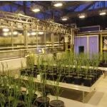 以第一作者身份发表《Science》，她将主讲植物分子互作分析核心技术