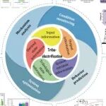 2025-Friction-上海交通大学摩擦方向最新综述：摩擦信息学驱动的摩擦起电研究