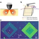 铁性晶体 | Nature Nanotechnology