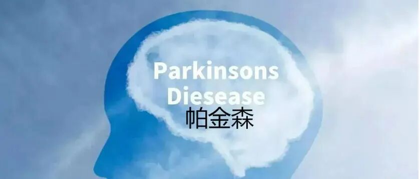人工智能在帕金森病诊治及长程管理中的应用研究进展