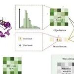 Nature Methods | 昌平实验室高毅勤等团队整合多种实验信息利用GRASP辅助蛋白质复合物结构预测
