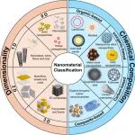 迄今最全面的纳米医疗综述！UCL 团队系统总结应用、临床转化、安全风险与全球监管