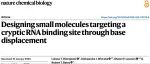 Nat. Chem. Biol. | 基于转子荧光氨基酸的细胞内蛋白质微环境变化实时成像