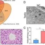 Adv Sci丨西北农林科技大学华进联等团队研究发现BLOC1S1是细菌持续存在和TDP-43相关病理的潜在治疗靶点