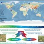Journal of Ecolog | 植物所科研团队揭示全球草原物种叶片性状协同变化及其气候驱动机制