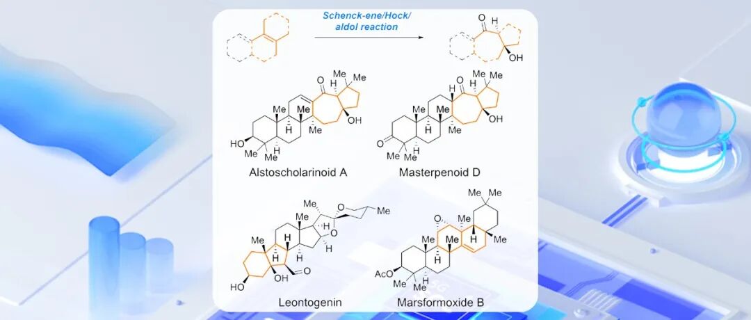 上交吴晶晶/上海有机所薛小松：新型仿生Schenck-ene/Hock/aldol串联重排反应及在天然产物合成与骨架编辑中的应用