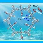 【JACS】南方科技大学徐强团队：酶点击后合成修饰COF增强光催化产H&#8322;O&#8322;