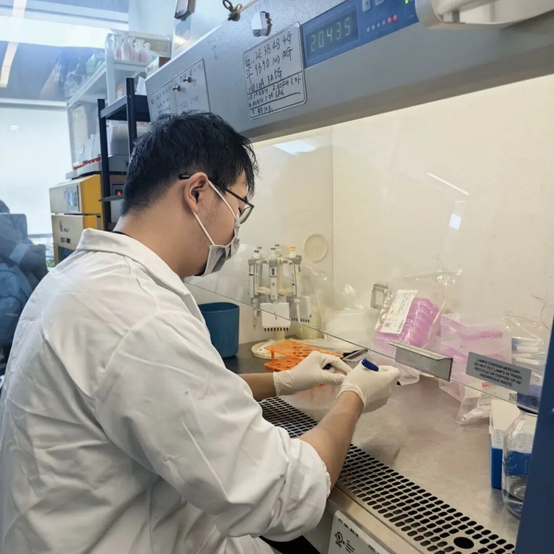 上交博士一作发表《Science》：人工法尼醇环氧化酶赋能萜类化合物的简洁高效全合成