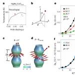 研究进展：铜基超导-Yamaji效应 | Nature Physics