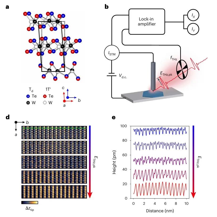 研究前沿：二维拓扑材料WTe&#8322;-太赫兹 | Nature Photonics