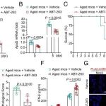 PNAS | 中国农业大学刘金华研究发现年龄诱导的ApoD产生是重症流感驱动因素