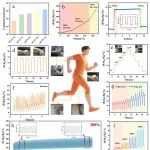 林化所胡立红、贾普友/沈阳化工赵大伟 Adv. Sci.：具有增强机电性能的超分子工程竹木质素聚合物及其在柔性电子中的应用
