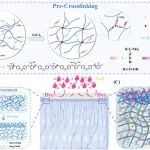 电子科大贾坤/刘孝波 WR: sub-Tg固态表面交联策略制备高性能染料脱盐疏松纳滤膜