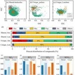 西北农林科技大学水保全重室张庆玮副教授在Water Research发文，揭示农田地表微地形改变降雨径流过程中土壤氮溶出路径分配