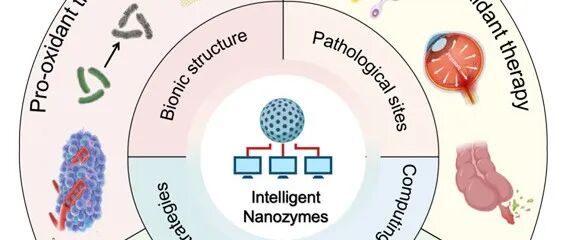 Fundamental Research｜范克龙、王卓然等：智能化仿生设计：纳米酶生物医学应用的曙光