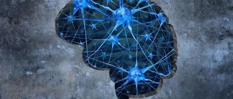 《自然》重磅：补充这种营养素，竟能降低阿尔茨海默病风险！