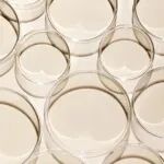 《食品科学》：西南民族大学唐俊妮教授等：乳酸乳球菌Q13细菌素对耐甲氧西林金黄色葡萄球菌的抑菌机理