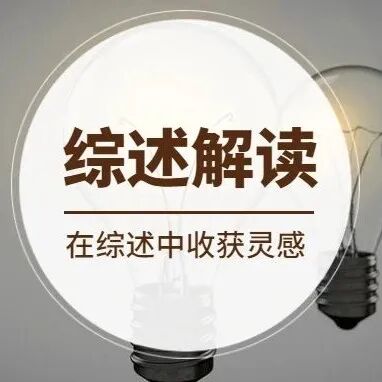 IF=40 | 材料学顶刊Progress in Materials Science：化学链转化中纳米组装多级载氧体