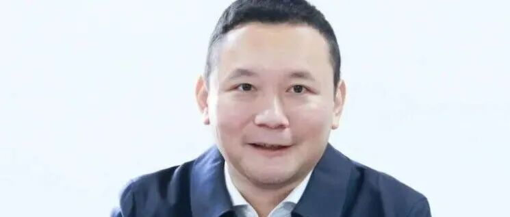 北京大学副校长，主动投案