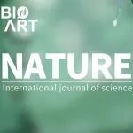 Nature | 刘志远/徐天添/韩飞/严威合作开发新一代脑机接口功能电极