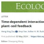 Ecology Letters | 植物-土壤反馈的时间依赖性框架