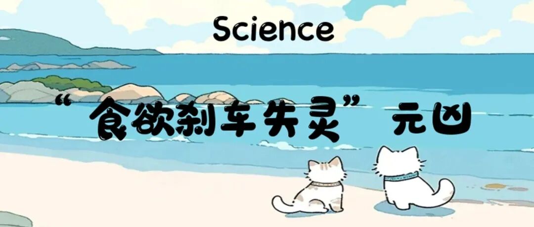 Science: “食欲刹车失灵”元凶