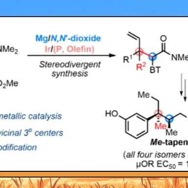 【JACS】北大深研院刘杨斌/四川大学冯小明：铱/镁双金属催化烯丙基季碳中心立体发散性合成