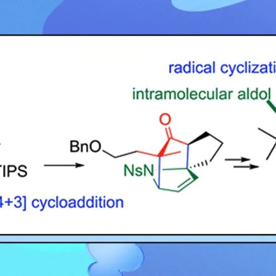 【Angew. Chem.】大阪大学Kosuke Namba组：笼状多环虎皮楠生物碱Calyciphylline F首次全合成