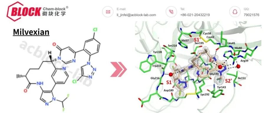BMS与JJ的Ⅲ期临床分子：首个抗血栓FXIa抑制剂——Milvexian（BMS-986177）