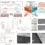 浙江大学朱利平教授团队 Sci. Adv.：分子链编程聚酰亚胺膜实现液态烃类混合物多级分离