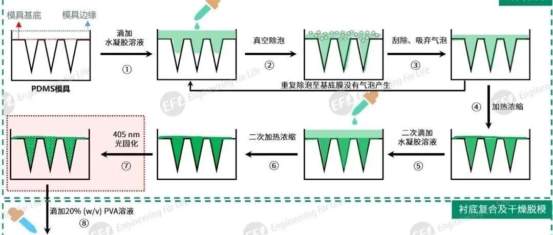 水凝胶微针制备指南