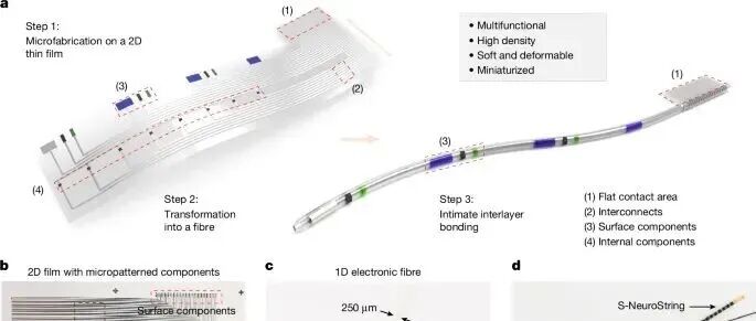 斯坦福大学鲍哲南教授团队 Nature：高密度多模态柔软生物电子纤维