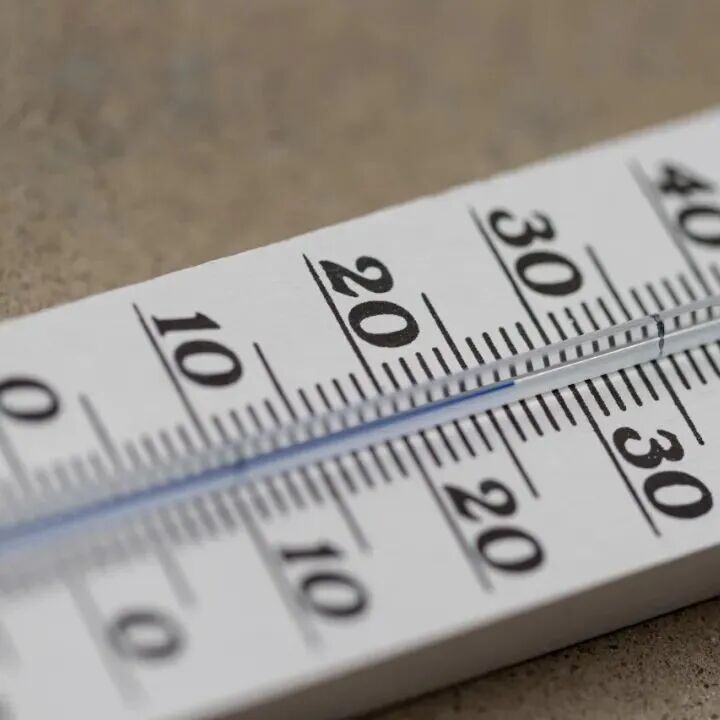 《食品科学》：中国农业科学院李欣研究员等：温度波动通过调控磷酸化和亚硝基化对磷酸丙糖异构酶活性的影响