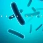 FSHW | 副干酪乳杆菌S-NB免疫调节作用的分子机制:受胞外多糖生物合成关键基因wze和wzd的调控