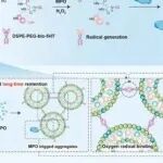 Bioact. Mater丨广东省中医院于玲等团队研究发现自适应生物活性纳米系统与传统药物协同治疗心肌梗死