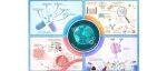 The Innovation | 糖尿病防控路在何方？看中国的实践与启示
