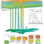 JP：地质地球所，秦照原, 彭澎 等 | 关键证据揭示岩浆大尺度不混溶分离过程