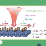 【JACS】大连理工大学杨明辉课题组：三唑修饰的氮化锆催化剂用于从空气中大电流稳定电合成过氧化氢