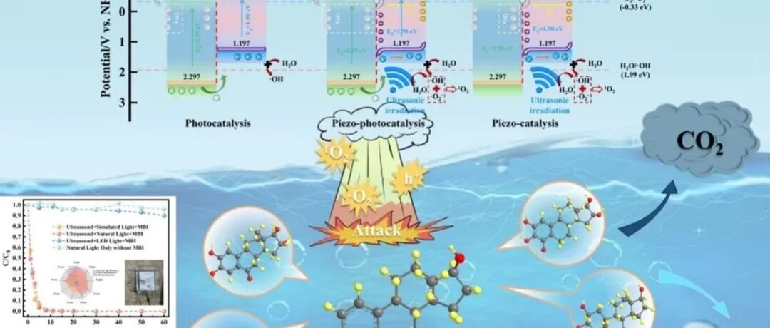 文献速递|福州大学CEJ:MoS&#8322;/BiOIO&#8323;异质结中压电效应与氧空位协同作用增强17β-雌二醇的光催化降解