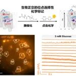 【Sci. Adv.】北大邹鹏、陈知行、汤超课题组合作发展新一代复合型膜电位探针